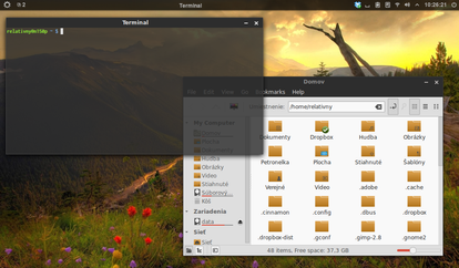 Linux Mint 15 Cinnamon