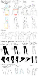 Male Anatomy Reference and Perspective Tips