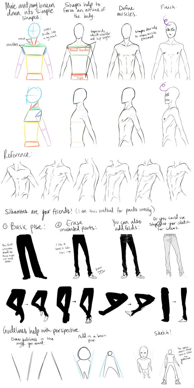 Male Anatomy Reference and Perspective Tips by DeviantTear on DeviantArt
