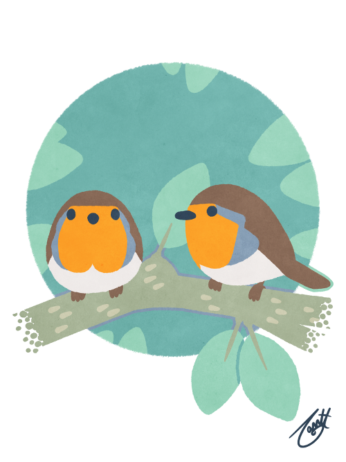 European Robins