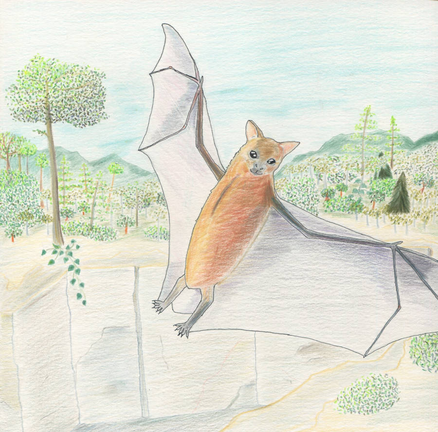 Colorful Bats Deviantart Bat by OpalTalons on DeviantArt