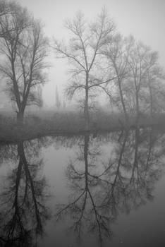 fog_4