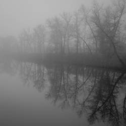 fog_5