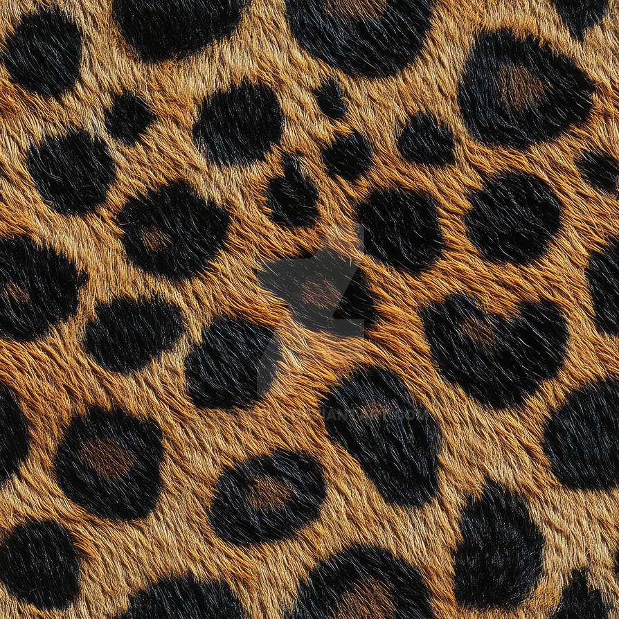Spotted Leopard Hide Pattern by eneakelo on DeviantArt