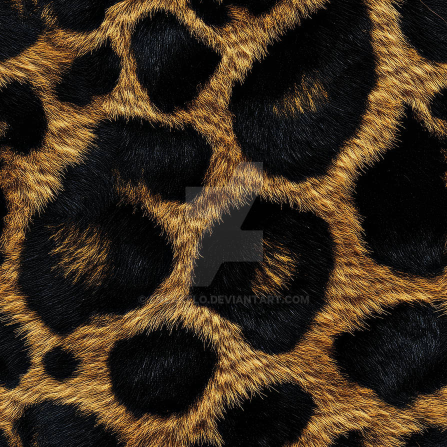 Spotted Leopard Hide Pattern by eneakelo on DeviantArt