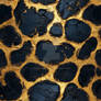 Spotted Leopard Hide Pattern