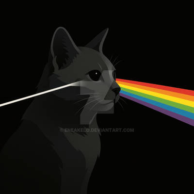 The Dark Side of the Cat