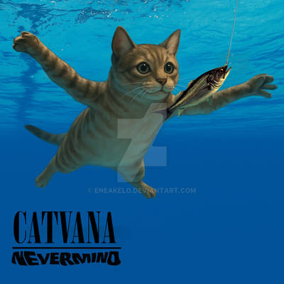 CATVANA NEVERMIND