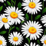 Cheerful Daisy Pattern on Dark Background
