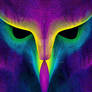 Geometric Owl Gaze