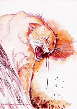 Wild anger