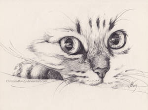 Fragment... by ChristinaMandy Fragment... by ChristinaMandy