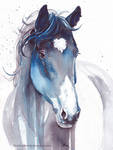 A cold day of Winter by ChristinaMandy