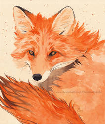 Foxumn