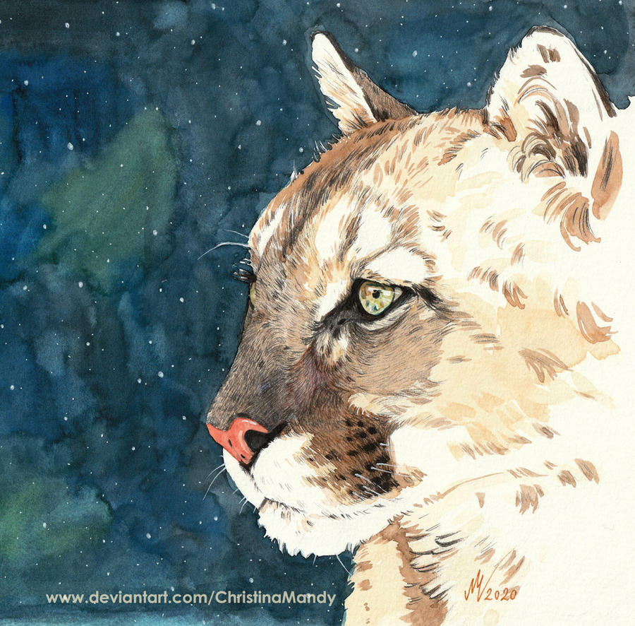 Blue night by ChristinaMandy on DeviantArt