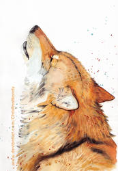 Orange wolf