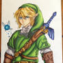 Link!