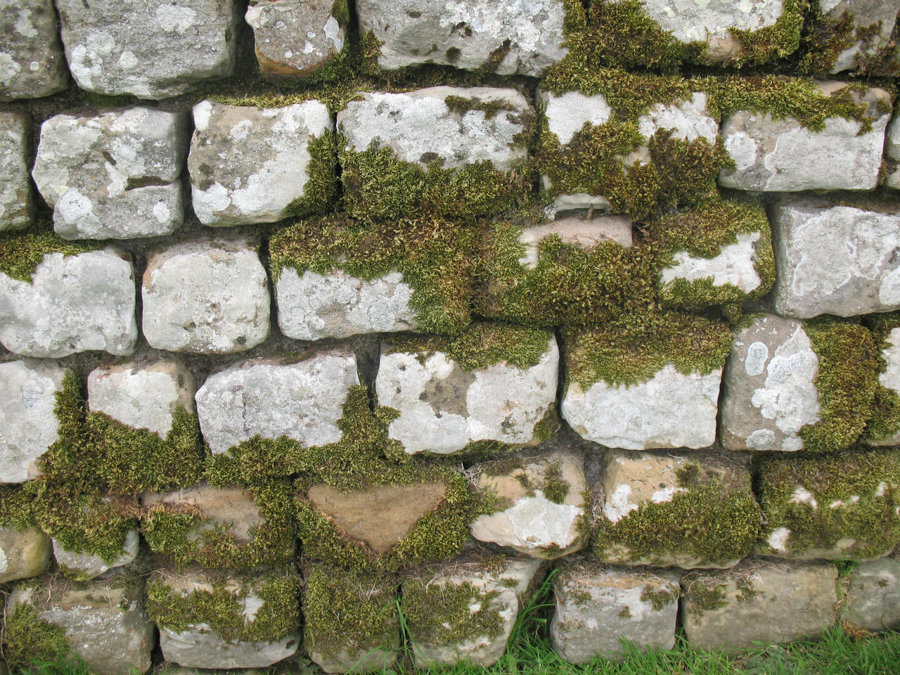 Stone Wall texture 9
