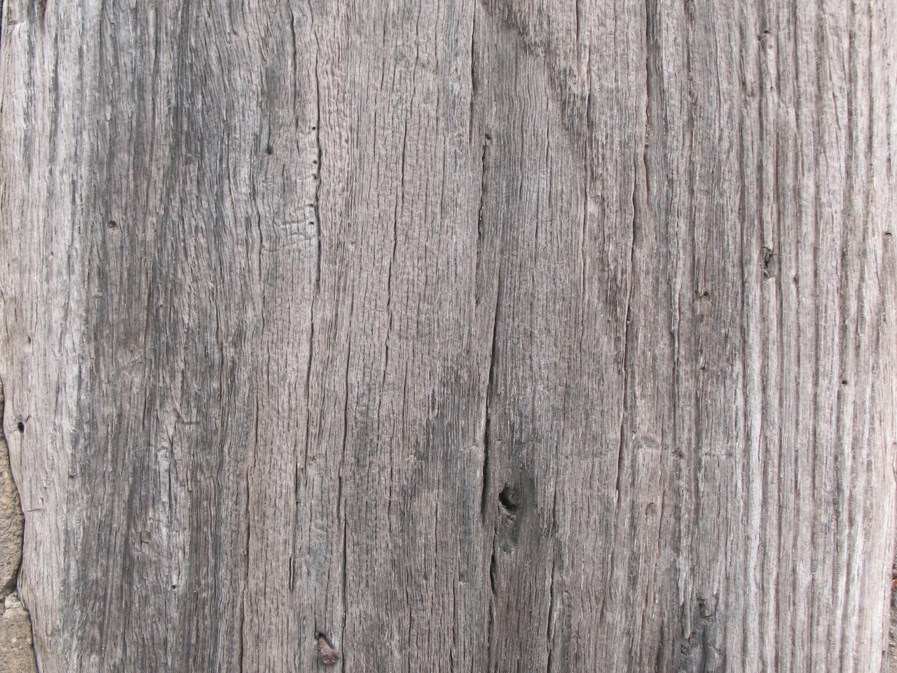 Old Wood texture 2