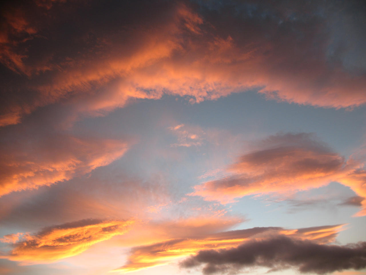 Autumn sky stock 31 by Random-Acts-Stock