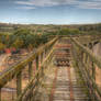 Beamish steam stock 4