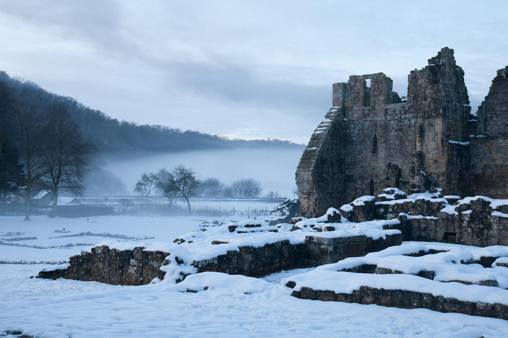 Winter wonderland stock 36