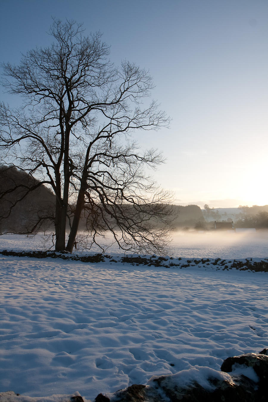 Winter wonderland stock 56