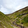 Yorkshire dales stock 24