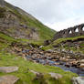 Yorkshire dales stock 26