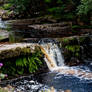 Yorkshire dales stock 28