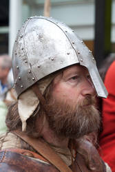 Vikings 2011 stock 17