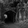 Cemetary stock 7