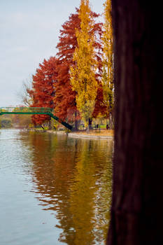 Late afternoon autumn image