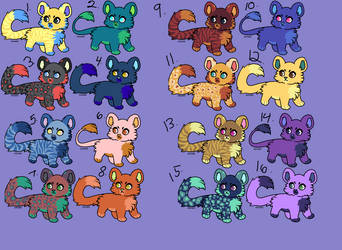 big cat adoptables 3