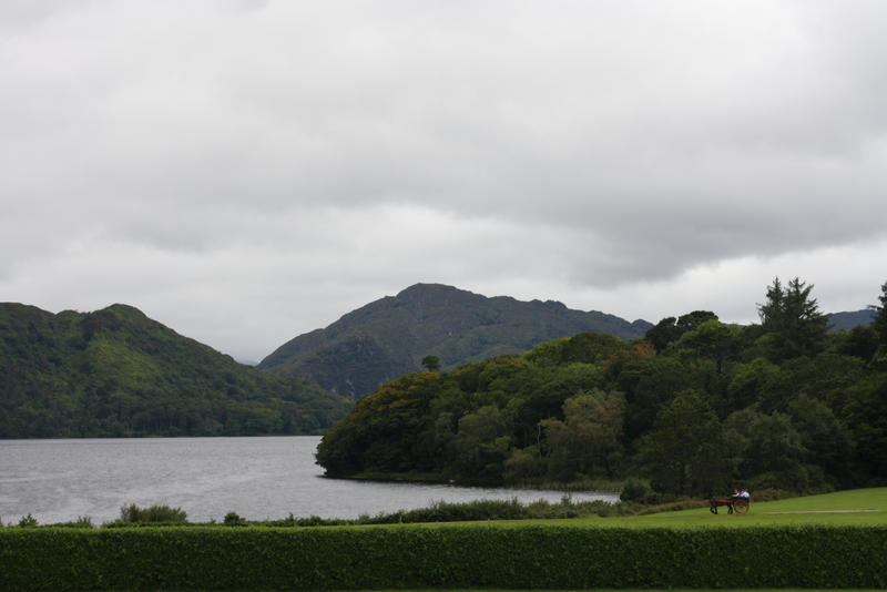 Muckross Garden II