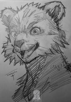 Tutorial Draw an Animal Face