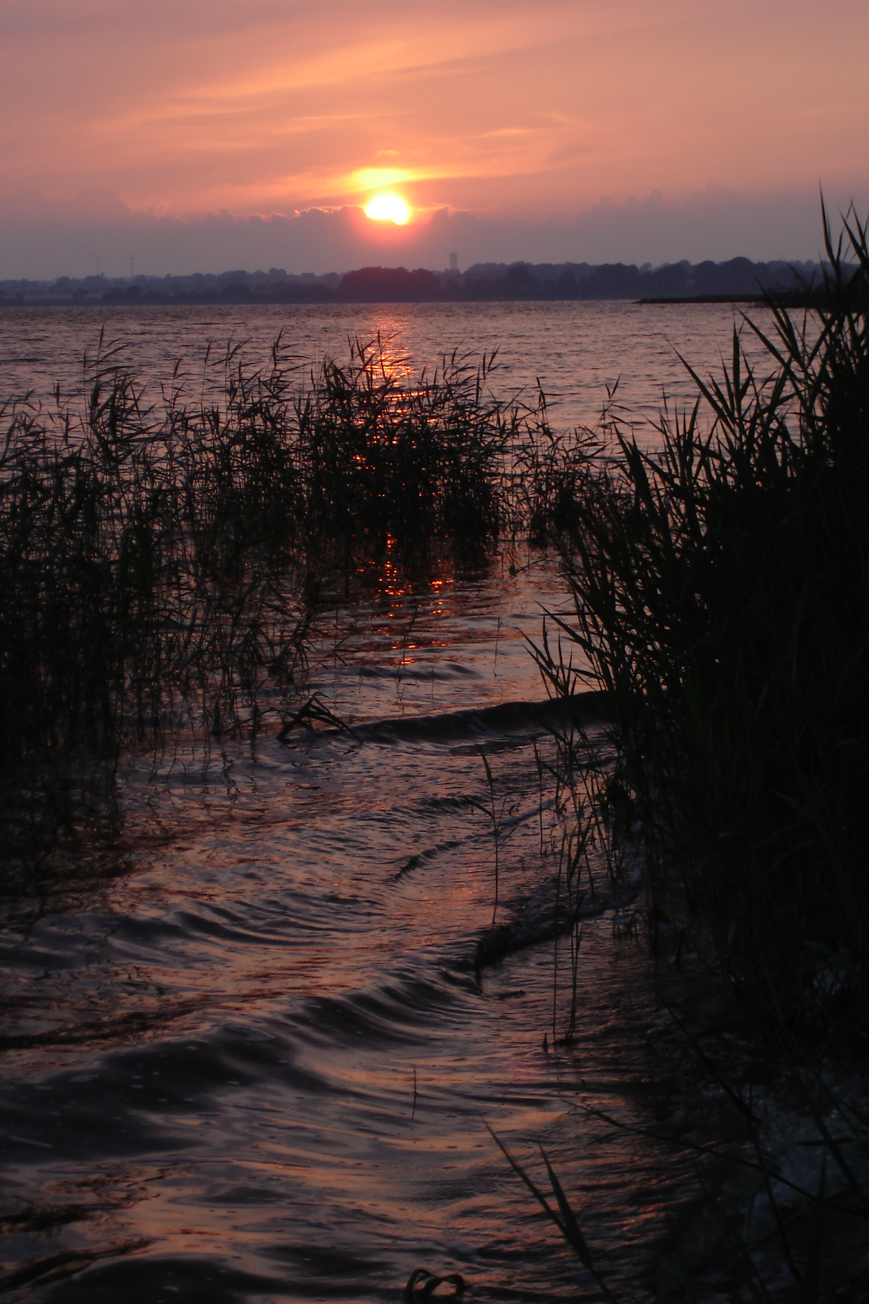 Sonnenuntergang an der Schlei