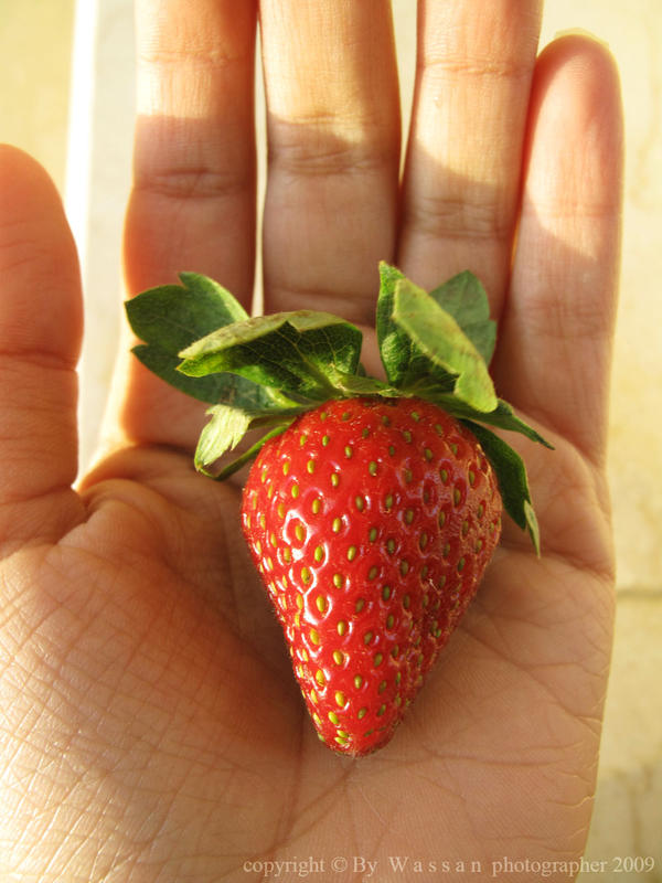 Strawberry2