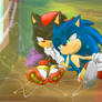 :gift: Sonadow :D