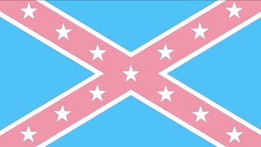 Trans Southern Pride Flag