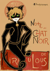 Chat Noir