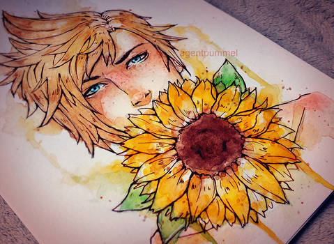 Sunflower