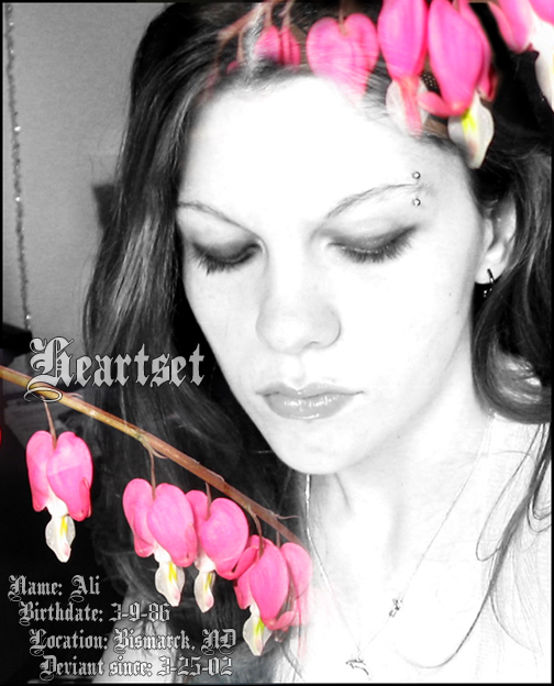 Heartset deviantART ID v. 5.0