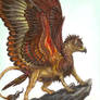 Mackle the Firebird Griffin