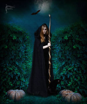 Samhain Night