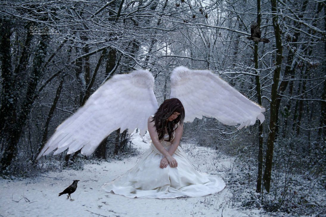 Фото красивых ангелов. Ангел на снегу. Ангел зимой. Грустный ангел. Фотосессия с крыльями зимой.