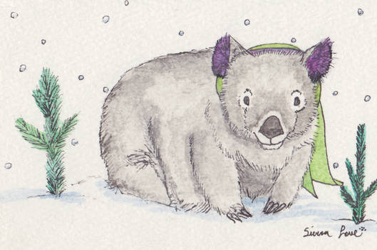 Yule Wombat