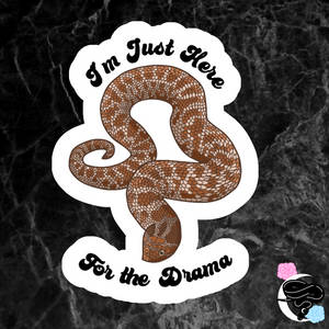 Western Hognose Sticker - Stickers Available!