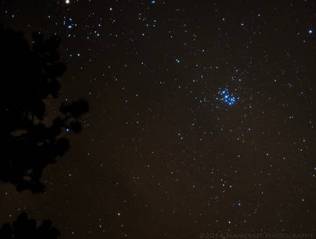 The Pleiades.  AKA: Subaru