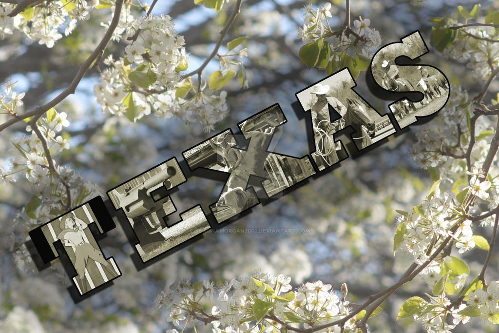 Deviantart Texas Texas Postcard by shaunamorgan2002 on DeviantArt